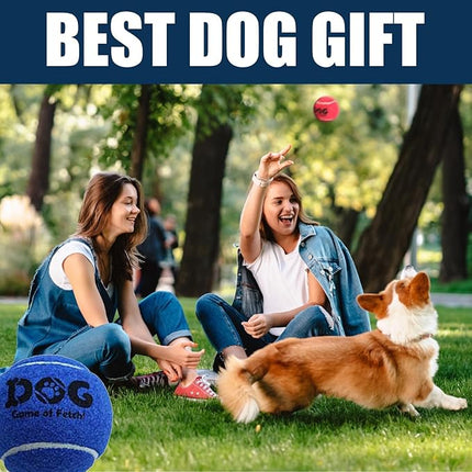 AMA SPORT Tennis Balls for Dogs 12 Pack 2.5" Multi Colors Dog Tennis Balls for Puppy Small Medium Dog Toys, Designed for Dogs Floating Water-Hunting Fetch Fun Playing Daily Exercise Mid-air Catching