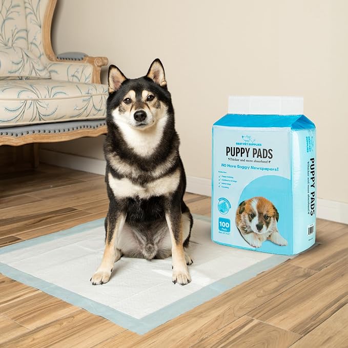 Best Pet Supplies Puppy Pads - Disposable, Dog Training Potty, Super Absorbent Baby Blue Puppy Pee Pads for Dogs (300 Count)