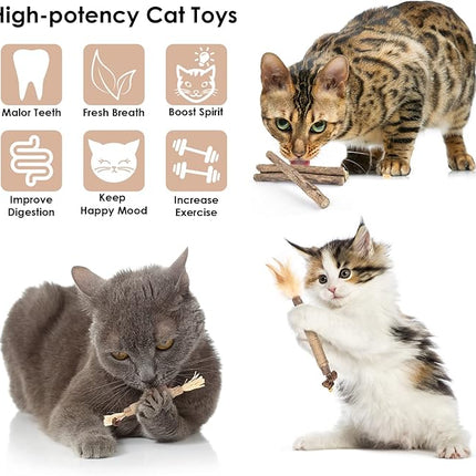 Bissap 10 PCS Silvervine Chew Sticks for Cats, Catnip Chew Sticks Cat Toys for Indoor Cat Kitten Teeth Grinding Interactive Feather Toys for Aggressive Chewers Dental Care