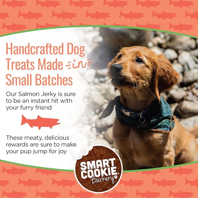 Smart Cookie Salmon Jerky Dog Treats - DHA, Omega Strips for Dogs & Puppies with Allergies, Sensitive Stomachs with Wild Caught Alaskan Salmon- Dehydrated, Grain Free, Made in USA - 3oz Bag, Pack of 3