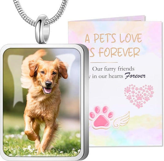 Fanery Sue Pet Ashes Necklace Cremation Jewelry Personalized Picture&Quote Memorial Gifts for Loss of Dog/Cat Urn Necklaces Pets Loss Sympathy Gift Keepsake for Women