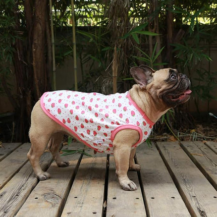 iChoue 100% Breathable Cotton English Bulldog Halloween Cartoon T Shirts Cute Clothes for Medium Large Dogs Vest Tank Tops Terrier Pitbull Strawberry - XLarge
