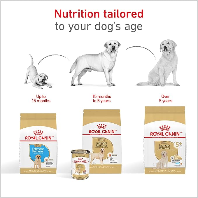 Royal Canin Labrador Retriever Adult Dry Dog Food, 30 lb bag