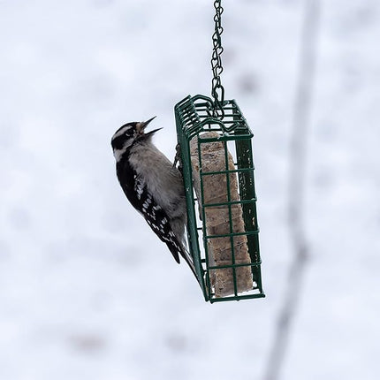 C&S Cherry Treat, 12/pack 11.75 Ounces