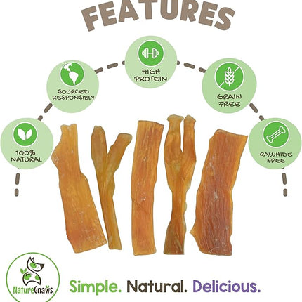 Nature Gnaws Beef Tendons for Dogs (8oz) - Mixed Thickness - Long Lasting for Small and Medium Dogs - Natural Beef Jerky Dog Chew Bones - Rawhide Free