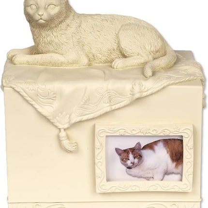 Comfy Hour 7.75" Porcelain Angel Star Pet Urn for Cat, Brown, Pet In Loving Memory Collection