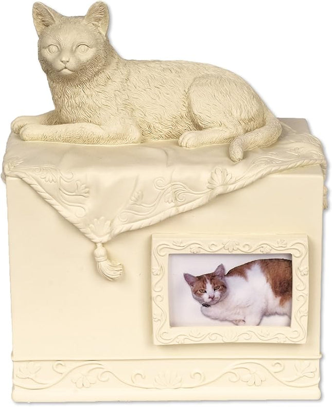 Comfy Hour 7.75" Porcelain Angel Star Pet Urn for Cat, Brown, Pet In Loving Memory Collection