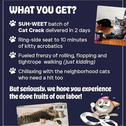 Cat Crack Catnip, Zoomie-Inducing Cat Nip Blend, North American Made & 100% Natural, Safe & Non-Addictive Catnip Treats Used to Supplement Cat Nip Toys, Spray, & Accessories (1 Cup)