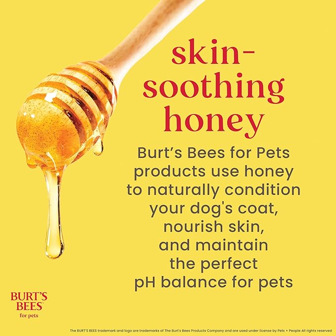 Burt's Bees for Pets Deodorizing Dog Shampoo with Witch Hazel, 95% Natural Origin Formulas, Dog Deodorizing Shampoo - Gentle for Smelly Dogs, 32 oz