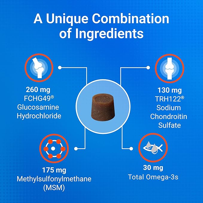 Nutramax Cosequin for Small Dogs, Joint Health Supplement, Contains Glucosamines, Chondroitin, MSM and Omega-3s, Supports Joint and Skin and Coat Health, Soft Chews, 45 Count
