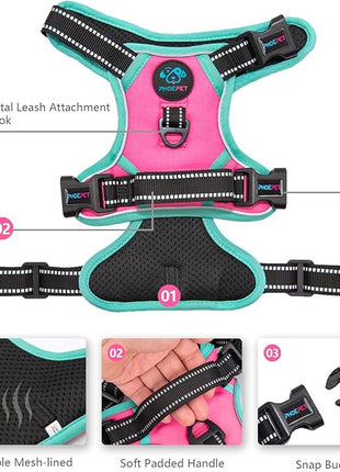 PHOEPET 2019 Upgraded No Pull Dog Harness, Reflective Adjustable Vest, with a Training Handle + 2 Metal Leash Hooks+ 3 Snap Buckles +4 Slide Buckles(L, Pink)