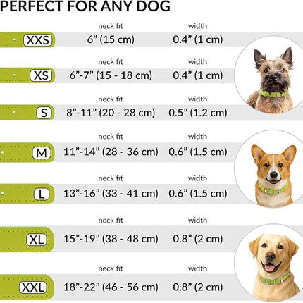 CollarDirect Rolled Leather Dog Collar, Soft Padded Round Puppy Collar, Handmade Genuine Leather Collar Dog Small Large Cat Collars 13 Colors (11-14 Inch, Lime Green Smooth)
