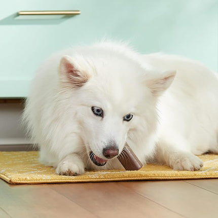 Rachael Ray Nutrish Dog Chews Soup Bones With Real Turkey & Rice, 24 Dog Treats