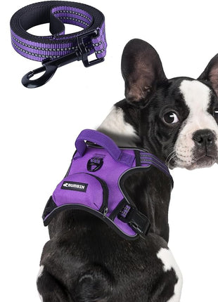 BUMBIN Dog Harness for Large Dogs, No Pull Adjustable No Choke Pet Vest with Dog Leash Fit Smart Reflective Pet Walking Harness for Training Easy Control Soft Handle Purple S