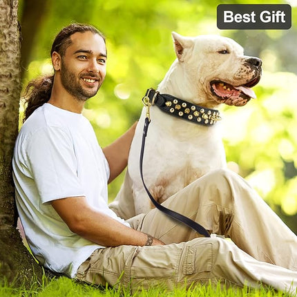 Epesiri Golden Spike Collar for Dogs, Gold Spiked Dog Collar, Durable PU Leather Studded Dog Collar with Leash, Funny Mushrooms Rivet Small Puppy Pet Cat Adjustable Collar, Black L