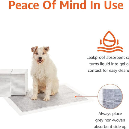 Amazon Basics Carbon Odor-Control Dog and Puppy Pee Pads, 5-Layer Leak-Proof Super Absorbent, Quick-Dry Surface, Potty Training, X-Large (28x34"), 50 Count, Gray