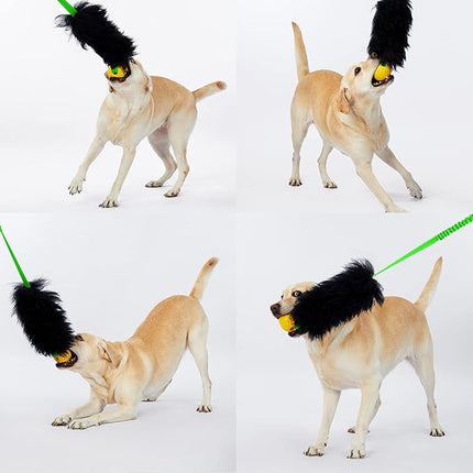 HOWGO Dog Rope Toy,Dog Bungee Chaser Toy 100% Sheepskin,Sheep Smell Tug Toy for All Breeds (Green, Short Without Ball)