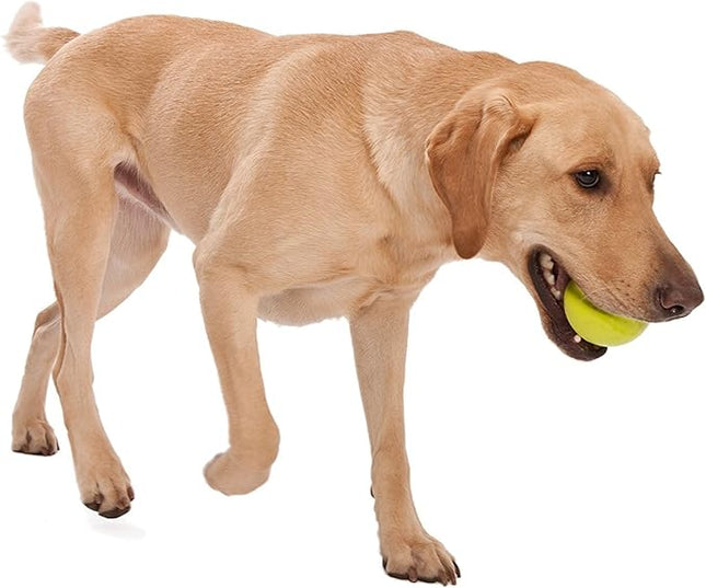 WEST PAW Zogoflex Jive Ball Dog Chew Toy – Bouncing Toys for Dogs, Fetch, Catch, Chewing, Play – Floatable, Recyclable Balls – Latex-Free, Non-Toxic, Dishwasher Safe Dog Toy, Small 2.5", Granny Smith