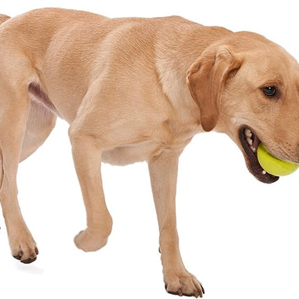 WEST PAW Zogoflex Jive Ball Dog Chew Toy – Bouncing Toys for Dogs, Fetch, Catch, Chewing, Play – Floatable, Recyclable Balls – Latex-Free, Non-Toxic, Dishwasher Safe Dog Toy, Large 3.25", Tangerine