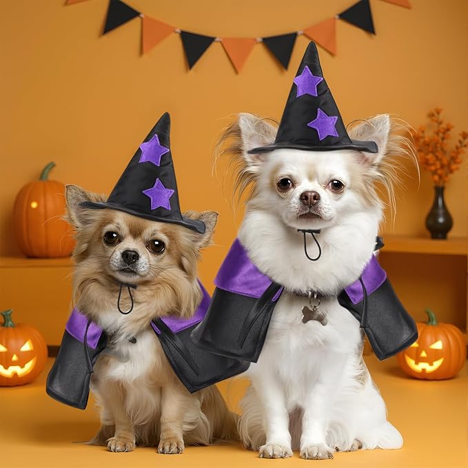 2 Sets Halloween Pet Costume Cats Witch Shaped Cloak and Hat Witch Cloak for Small Large Pets Gifts Party Favor(Small)