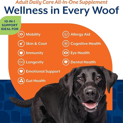 NaturVet All-in-One Adult Dog Daily Care, 10-in-1 Supplement Dog Soft Chews for Mobility, Skin, Digestion, Teeth, Cognition, Eyes, Hickory Smoked Bacon Flavored Pet Supplement for Dogs, 60 Count