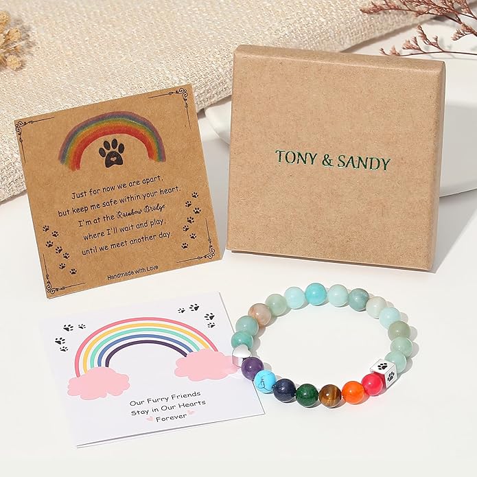 TONY & SANDY Dog Memorial Gifts, Pet Sympathy Rainbow Bridge Pet Memorial Bracelet for Men Women Girls Who Loss of Beloved Dog Cat
