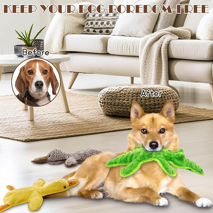 No Stuffing Dog Squeak Toys-3 Pack Chew Toys for Small Medium Large Breed- Durable Puppy Teething Interactive to Keep Them Busy- Best Birthday Gift