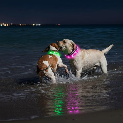 Light Up Dog Collar, Rechargeable Glowing Dog Collar, Light Dog Collar for Night Walking with 1640 FT of Visibility - Brightest LED Dog Collar Light, 3 Flashing Modes, Keeps Your Pets Safe in The Dark