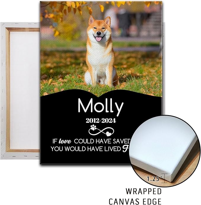 Personalized Pet Memorial Gifts for Dogs Customized Gifts for Dogs Cats Custom Loss of Pet Sympathy Gift Canvas Dog Loss Gift Canvas with Picture Name