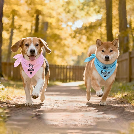 Big Sister and Big Brother Pet Dog Bandana, Triangle Scarf for Small Medium Large Dogs, Baby Announcement Gender Reveal Photo Prop Pet Scarf for Dog Lover, 2 Packs