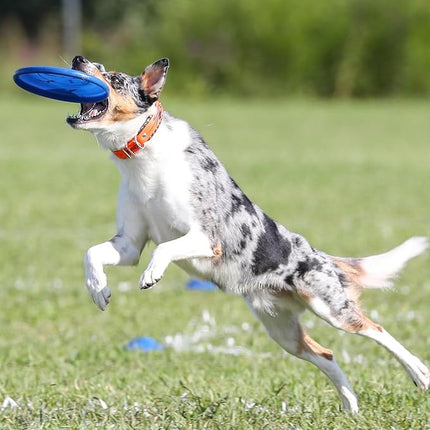 Hyperflite K-10 Jawz Blue Disc • for Dogs Over 16" • 8.75 Inch / 155 Grams • Puncture Resistant • Made in The USA