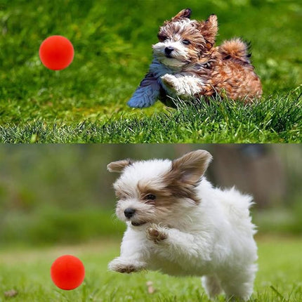 5 Different Functions Interactive Dog Toys for Puppies, Puppy Puzzle Toys for Small Dogs, Dog Balls for Small Dogs, Treat Dispensing Dog Toys, Squeaky Ball, Small Breed