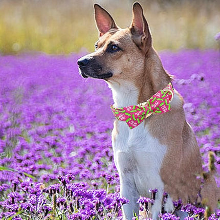 Elegant little tail Dog Collar, Dill Pickles Print Pet Collars with Bow Soft Cutton Boy Puppy Gift Adjustable Pink Bowtie Dog Collar for X-Large Dogs