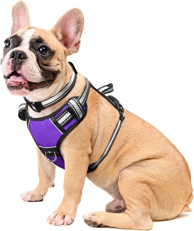 WINSEE Dog Harness No Pull, Pet Harnesses with Dog Collar, Adjustable Reflective Oxford Outdoor Vest, Front/Back Leash Clips for Small, Medium, Large, Extra Large Dogs, Easy Control Handle for Walking