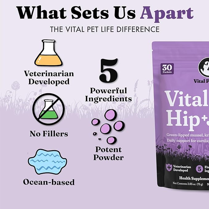 Vital Pet Life Green Lipped Mussel & Krill Powder, Hip & Joint Supplement for Dogs and Cats, Dog Joint Supplement, Mobility, Inflammation Defense, Collagen for Dogs, Veterinarian Developed, 30 packets