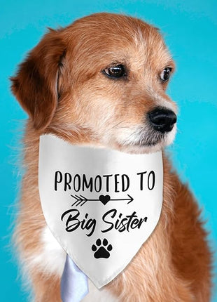 Big Sister Dog Bandana - Pregnancy Announcement Pet Scarf for Dog Lover Pregnancy Reveal Ideas