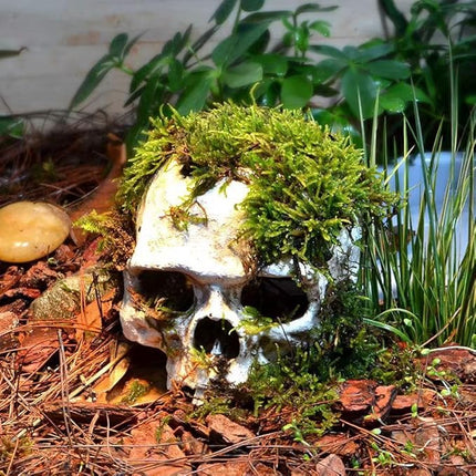 Carefree Fish Aquarium Decoration Skull Fish Tank Head Skeleton Aquarium Decorative Cave Landscape Pet Reptile House