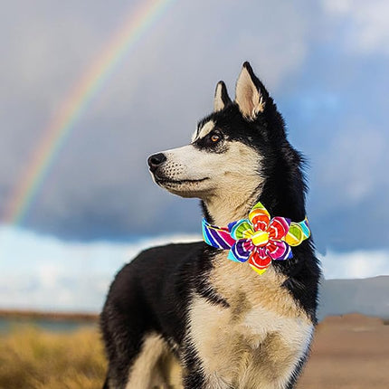 Lionheart glory Rainbow Dog Collar with Flower Colorful Summer Dog Flower Collar Heavy Duty Adjustable Pride Collars for Large Dogs Pet Gift Holiday
