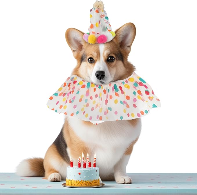 Cat Costume, Cat Birthday Bandana Scarf and Party Hat, Dog Birthday Decorations Set, Pet Outfit for Birthday Party Christmas, Large