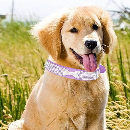 Dog Collar for Small Dogs, Adjustable Leather Suede Bling Dog Collars，Pink Dog Collar Cat Collar, Rhinestone Dog Collar (M, purple4)
