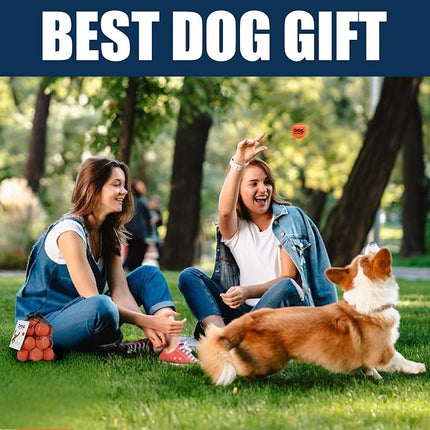 AMA SPORT Small Tennis Balls for Dogs 12 Pack 2.0" Orange Dog Tennis Balls for Puppy Small Dog Toys, Designed for Dogs Floating, Water-Hunting, Fetch, Fun Playing, Daily Exercise, Mid-air Catching