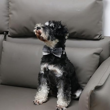 Lionet Paws Gird Dog Collar with Plastic Buckle, Cotton Fall Winter Bowtie Collar, Light Adjustable Collars for Small Medium Large Dogs