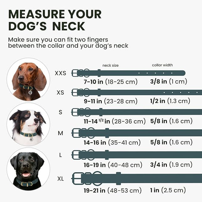 BronzeDog Rolled Leather Dog Collar with QR ID Tag, Adjustable Soft Round Collars for Small Medium Large Dogs Puppy (9" - 11" Neck Size, Denim)