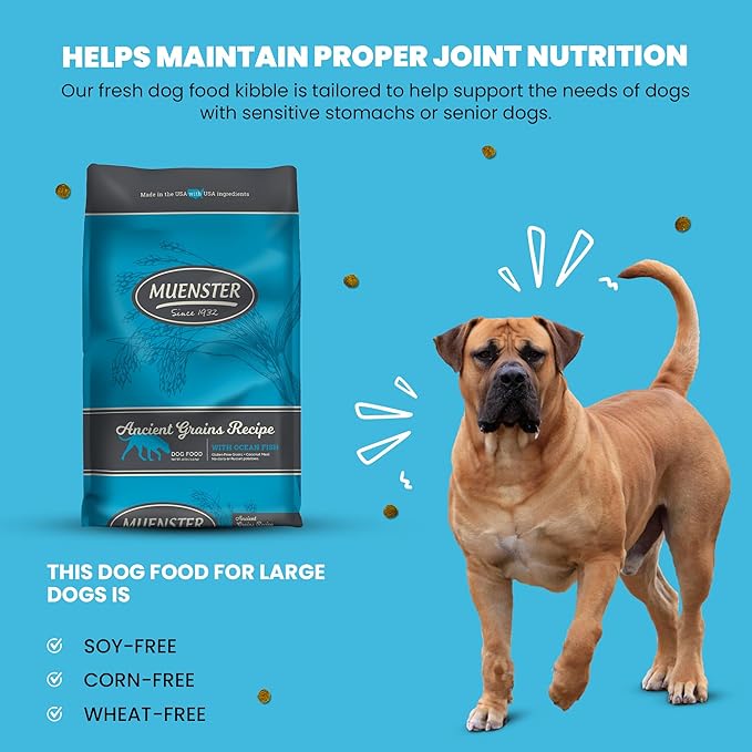 Muenster Ancient Grains Ocean Fish Dry Dog Food, 4lb - Gluten-Free, High Protein, Digestive Support