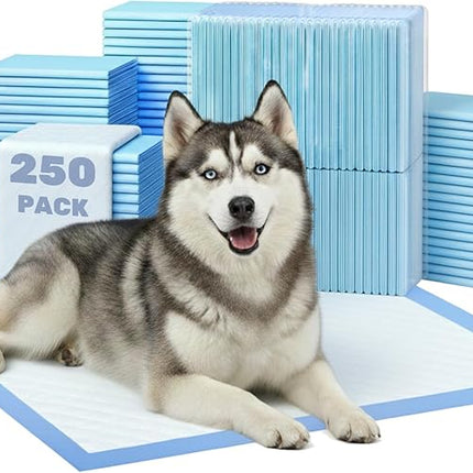 FluffyDream Super Absorbent Waterproof Dog and Puppy Pet Training Pad, Housebreaking Pet Pad,Blue (17.6"x23.6" (250PCS))