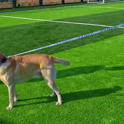 Dog Collar and Leash Set with Bohemia Floral Tribal Geometric Patterns - Soft Ethnic Style Collar Adjustable for Small Medium Large Dogs(Bohemian Blue Set,S)