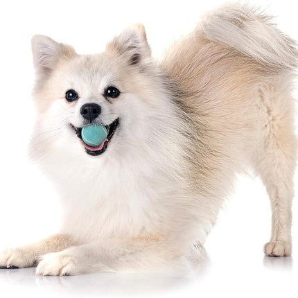 Playology Dog Toys | Squeaky Chew Ball - Bouncy Durable Floating Fetch Ball for Dogs, Value 3-Pack | Small Peanut Butter Scented Toy - Easy to Clean and Made from Non Toxic Materials