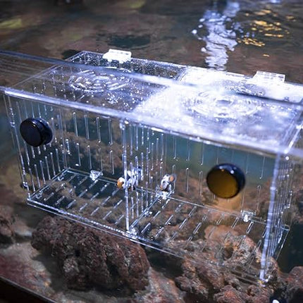 Magnetic Acclimation Box fish Breeder Nursery isolation Tank