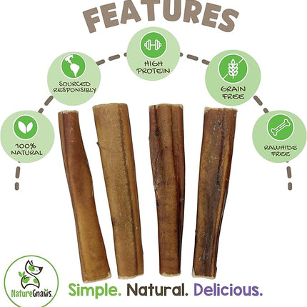 Nature Gnaws Extra Large Bully Sticks for Dogs 5-6" (6 Count) - Thick Long Lasting for Aggressive Chewers and Heavy Chewers - Natural Beef Dog Chew Bones