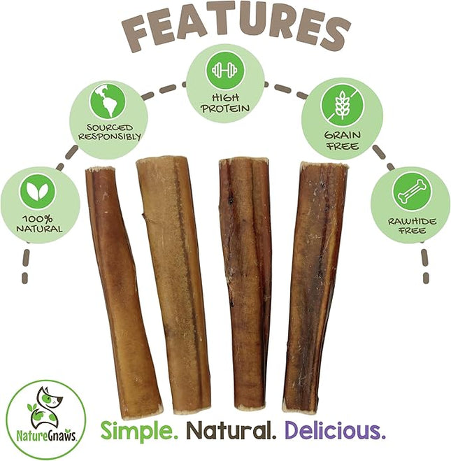 Nature Gnaws Extra Large Bully Sticks for Dogs 5-6" (6 Count) - Thick Long Lasting for Aggressive Chewers and Heavy Chewers - Natural Beef Dog Chew Bones